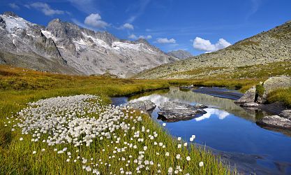 Sommerfrischer Urlaub